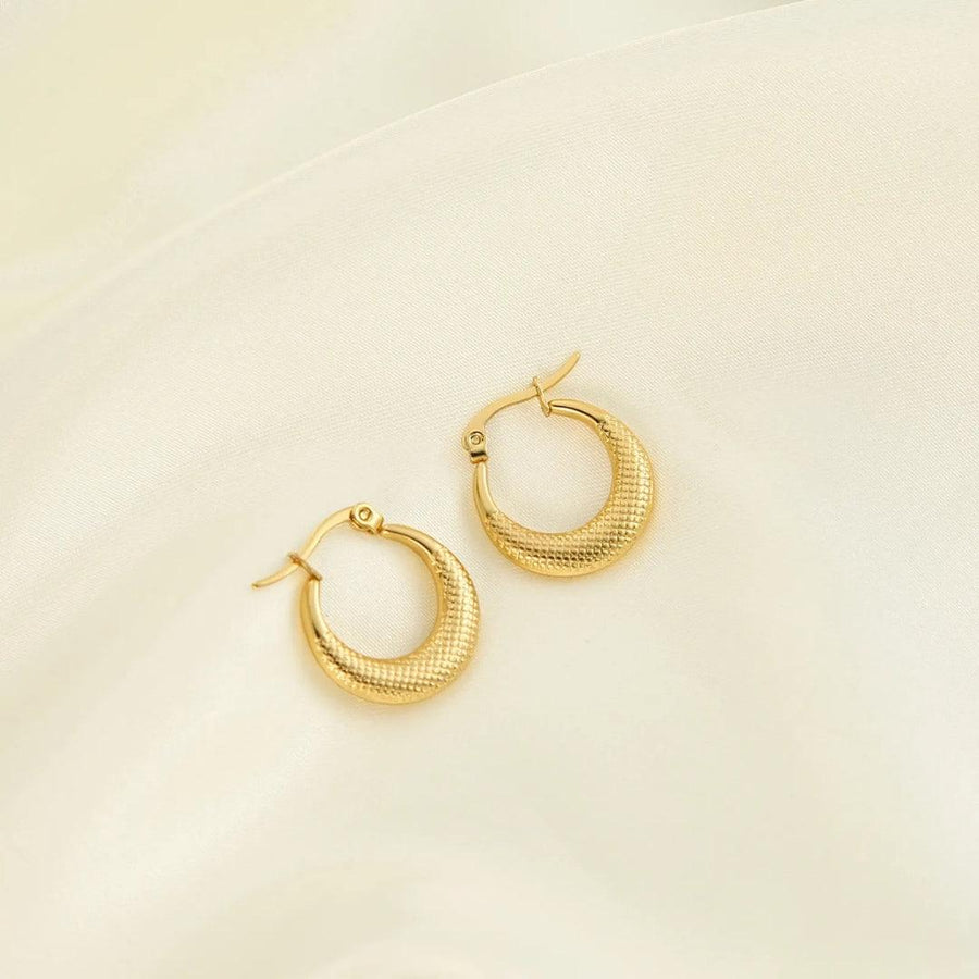Dainty Hoops Earrings